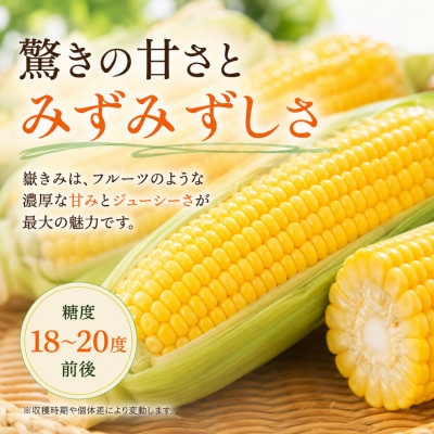 とうもろこし 朝採り 嶽きみ(だけきみ) 10本 L〜2Lサイズ 冷蔵【配送不可地域：離島・沖縄県・九州】【1757166】
