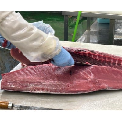 【市場直送!】青森産　天然本マグロ　切り落とし まぐろ(赤身・中トロ・大トロ入り)　250g×2P【配送不可地域：離島】【1657204】