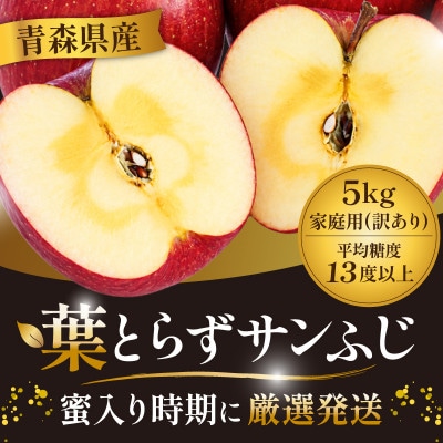 11-12月 蜜入り時期に厳選発送! 青森県産 りんご 訳あり 葉とらずサンふじ 家庭用 約5kg【配送不可地域：沖縄県】【1755416】