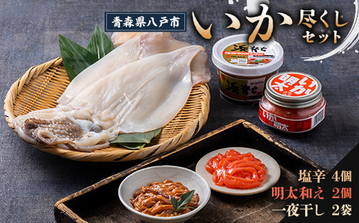 【塩辛 220g×4個・明太子和え 150g×2個・一夜干し 2袋】いか尽くし 3種セット【配送不可地域：離島】【1668492】