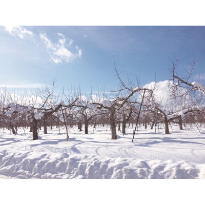 タムラシードルSWEET&DRY2本セット　TM-SD【1658986】