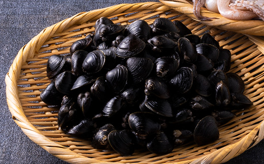 鰺ヶ沢の生干しイカ(210g〜269g×2枚)と、十三湖産しじみ(250g×4袋)セット【配送不可地域：離島】【1650441】