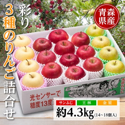 りんご/青森県産　彩り3種のりんご詰合せ 約4.3kg【配送不可地域：離島】【1655312】