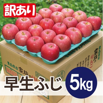 【26年10月から順次発送】平均糖度12度以上! 早生ふじ 約5kg 訳あり 青森県産 りんご【配送不可地域：離島・沖縄県】【1734949】