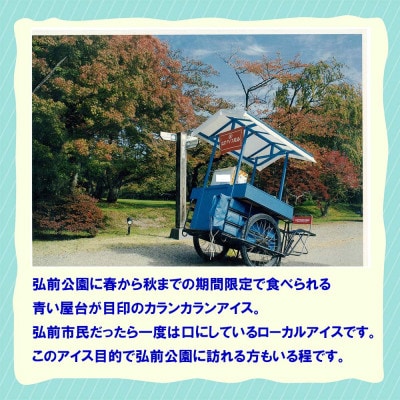 よくばりアイスセット【ケースアイス×5種類・コーン×50個・盛り付け用ヘラ付き】【配送不可地域：離島】【1657753】