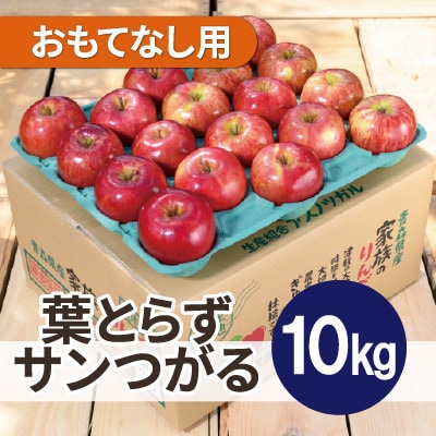 【26年9月から順次発送】平均糖度12度以上! 葉とらずサンつがる 約10kg おもてなし用 りんご【配送不可地域：離島・沖縄県】【1734947】