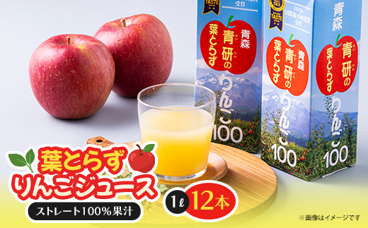 葉とらずりんごジュース　1000g×12本入り【1657569】