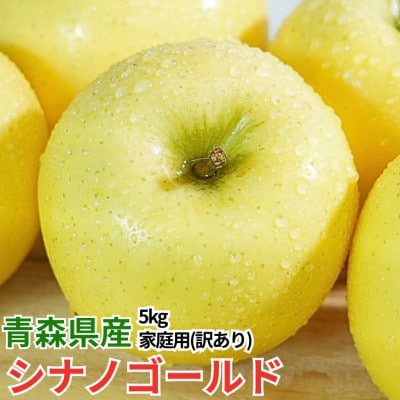 【4月より順次発送】平均糖度13度以上! シナノゴールド 約5kg 訳あり  クール便 青森りんご【配送不可地域：離島・沖縄県】【1722269】