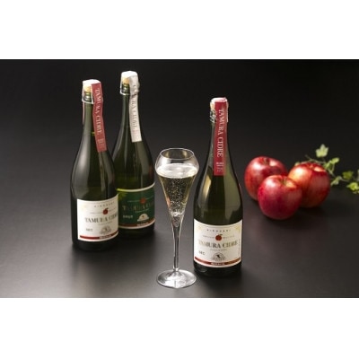 ã¿ã ã©ã·ãŒãã« SEC&BRUTã®ããã»ããã1668705ã