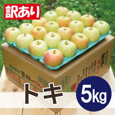 【26年10月から順次発送】平均糖度12度以上! トキ 約5kg 訳あり 青森県産 りんご【配送不可地域：離島・沖縄県】【1734958】