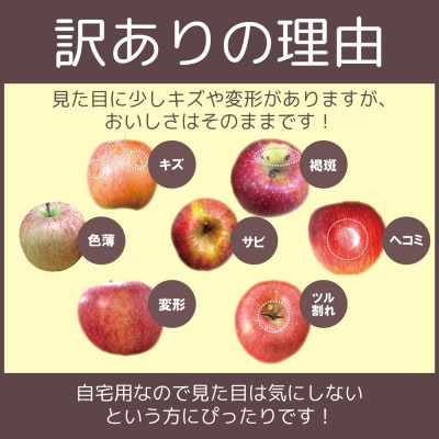 【26年9月から順次発送】平均糖度12度以上! 葉とらずサンつがる 約10kg 訳あり 青森 りんご【配送不可地域：離島・沖縄県】【1734908】