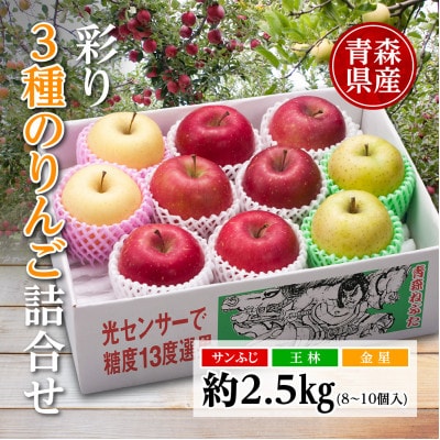 りんご/青森県産　彩り3種のりんご詰合せ 約2.5kg【配送不可地域：離島】【1655314】