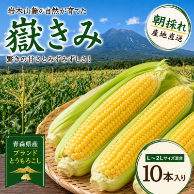 とうもろこし 朝採り 嶽きみ(だけきみ) 10本 L〜2Lサイズ 冷蔵【配送不可地域：離島・沖縄県・九州】【1757166】