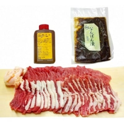 桜鍋用馬肉(上肉)+たれセット(4人前)【配送不可地域：離島】【1668686】