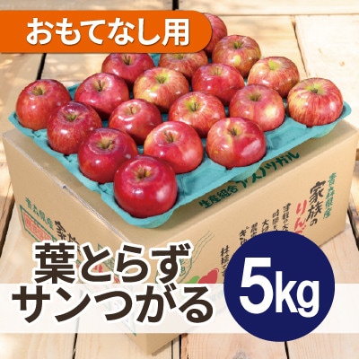 【26年9月から順次発送】平均糖度12度以上! 葉とらずサンつがる 約5kg おもてなし用 青森県産【配送不可地域：離島・沖縄県】【1734898】