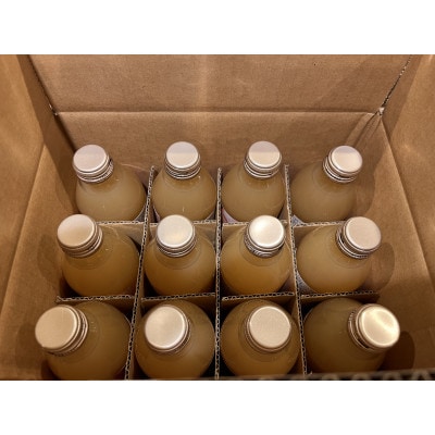 りんごジュース　250g×12本【1687275】