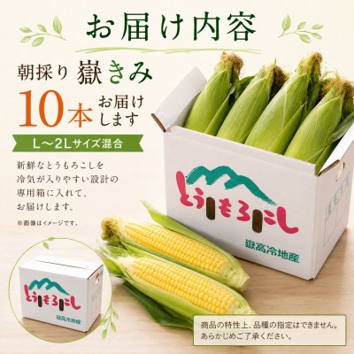 とうもろこし 朝採り 嶽きみ(だけきみ) 10本 L〜2Lサイズ 冷蔵【配送不可地域：離島・沖縄県・九州】【1757166】