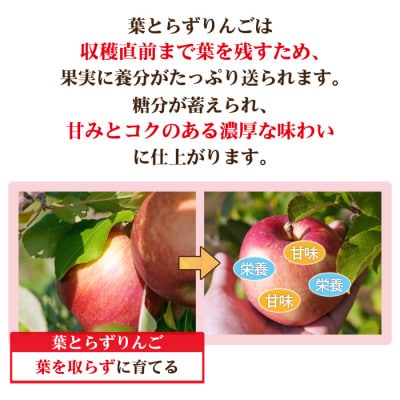 ã26幎11æããé æ¬¡çºé!ã鿣®çç£ ããã èãšãããµã³ãµã èš³ããå®¶åºçš çŽ10kgãé
éäžå¯å°åïŒæ²çžçãã1735527ã