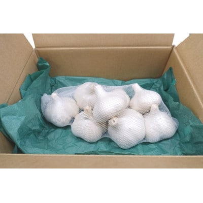 縺溘▲縺薙↓繧薙↓縺(遖丞慍繝帙Ρ繧、繝)縲1660834縲