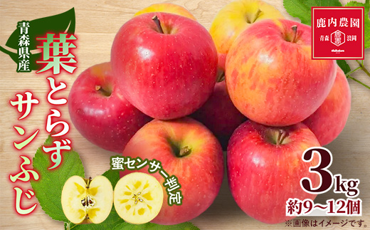 りんご 葉取らずふじ 蜜入判定 3kg (約9〜12個)【配送不可地域：離島】【1085335】