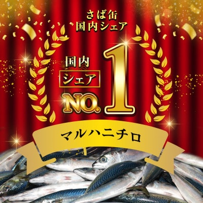 マルハニチロ さば3種(水煮、みそ煮、煮付)缶詰アソート 190g×8缶 ふるさと納税【1658969】