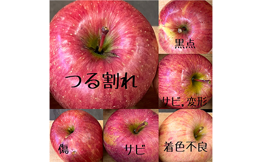 お試し 規格外品 糖度13度以上保証 りんご サンふじ 訳あり 【R7年りんご品評会最高賞】【配送不可地域：離島・沖縄県】【1449164】