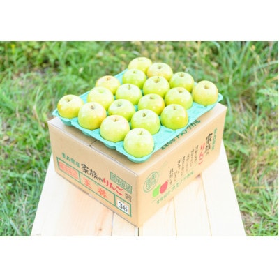 【26年5月より順次発送】平均糖度13度以上! 王林 約5kg おもてなし用 CA貯蔵 クール便【配送不可地域：離島・沖縄県】【1609598】