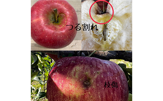 お試し 規格外品 糖度13度以上保証 りんご サンふじ 訳あり 【R7年りんご品評会最高賞】【配送不可地域：離島・沖縄県】【1449164】