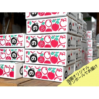 葉とらずふじ・王林　りんご100%ジュース詰め合わせ3kg(家庭用)【配送不可地域：離島・沖縄県】【1181952】