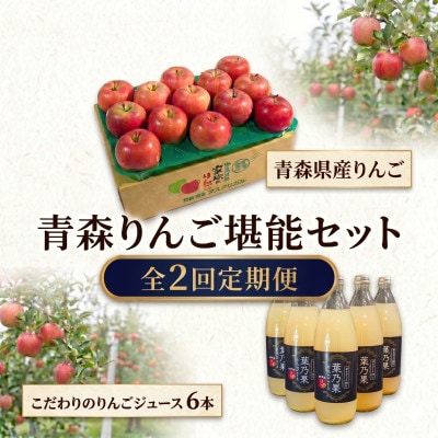 【発送月固定定期便】青森りんご 約3kg+りんごジュース1L×6全2回【配送不可地域：離島・沖縄県】【4087600】