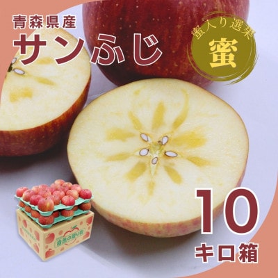 糖度光センサー選果 蜜入りサンふじ10キロ箱 26〜46玉【11月下旬より発送】産地直送 青森県産【配送不可地域：離島】【1326602】