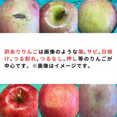 【令和7年1月下旬頃発送】産地直送 青森県産 訳ありサンふじ 5キロ箱 10〜23玉 青森県産りんご【配送不可地域：離島・沖縄県】【1288123】