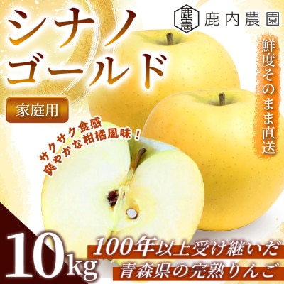 【爽やかな甘み】りんご 「シナノゴールド」 家庭用 約10kg (約32〜40個) 青森市 産地直送【配送不可地域：離島】【1785161】
