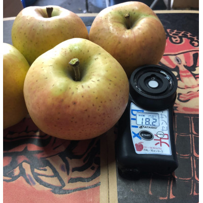 【訳あり】 りんご 希少品種「きみと」 家庭用 約3kg (8〜11玉) 糖度14度以上 【配送不可地域：離島】【1098511】