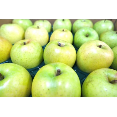 å¹³åç³åºŠ13床以äž! çæ çŽ10kg ãããŠãªãçšãé
éäžå¯å°åïŒé¢å³¶ã»æ²çžçãã1609429ã