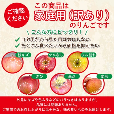 【26年11月より順次発送】平均糖度13度以上! 王林 約3kg 訳あり 家庭用【配送不可地域：離島・沖縄県】【1720520】