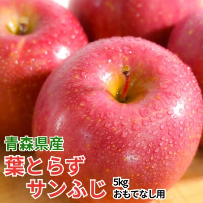 【26年11月〜12月発送】青森りんご平均糖度13度以上! 葉とらずサンふじ 約5kg おもてなし用【配送不可地域：離島・沖縄県】【1607467】