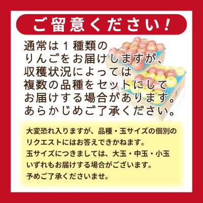 【26年6月出荷予定】りんご 品種おまかせ 約3kg 訳あり CA貯蔵 クール便【配送不可地域：離島・沖縄県】【1612945】