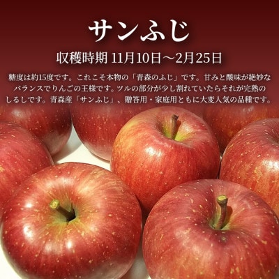 【青森直送 季節の味覚をお届け!】サンふじ 3個入×2箱(贈答用)青森産 産地直送 限定生産【配送不可地域：離島】【1700950】