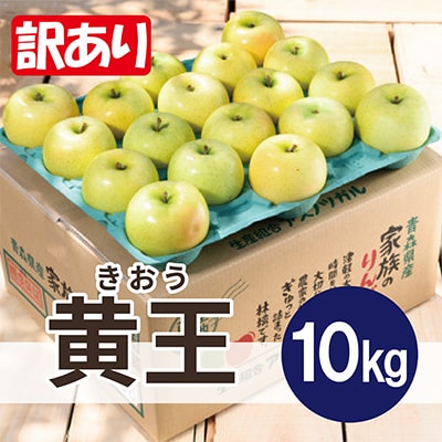【9月発送予定】訳あり青森りんご  夏が旬! 黄王(きおう)約10kg 平均糖度12度以上【配送不可地域：離島・沖縄県】【1607463】