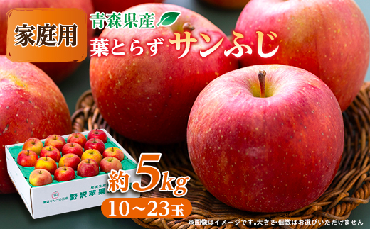 青森県産りんご「葉取らずサンふじ」約5kg(家庭用)【配送不可地域：離島・沖縄県】【1272641】