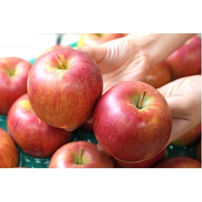 【2026年1月発送予定】糖度13度以上保証!シナノスイートおもてなし用約3kg(6〜18玉)【配送不可地域：離島】【1682170】