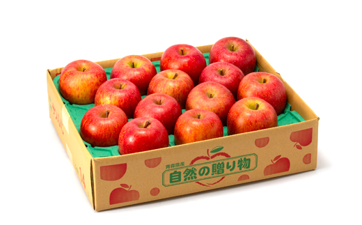 【11月下旬より発送開始】産地直送 青森県産サンふじ 5キロ箱 10〜23玉 青森県産りんご【配送不可地域：離島】【1288117】