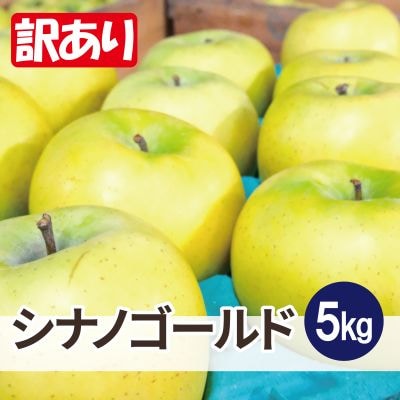 【26年6月出荷予定】平均糖度13度以上! シナノゴールド 約5kg 訳あり CA貯蔵 クール便【配送不可地域：離島・沖縄県】【1612902】