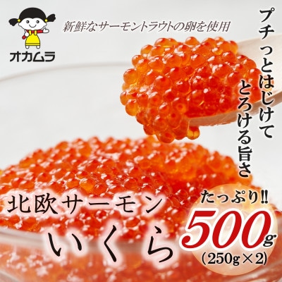 オカムラ食品工業の北欧サーモンいくら 500g(250g×2)【配送不可地域：離島】【1315624】