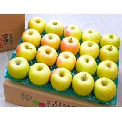 【27年2月出荷予定】平均糖度13度以上! ぐんま名月 約5kg おもてなし用【配送不可地域：離島・沖縄県】【1612885】