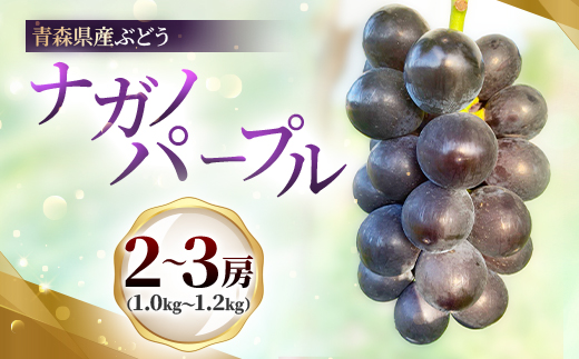 青森県産ぶどう　ナガノパープル　2〜3房(1kg以上)【配送不可地域：離島】【1763861】