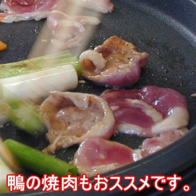 鴨ももスライス　計600g(150g×4パック)【配送不可地域：離島】【1721061】