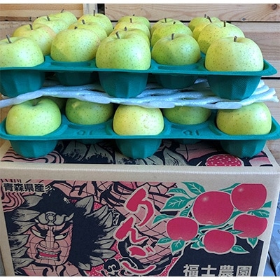 【訳あり】 りんご 「王林」 家庭用 約10kg (28〜40玉) 糖度14度以上保証 【配送不可地域：離島】【1111234】