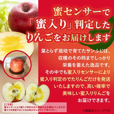 りんご 葉取らずふじ 蜜入判定 3kg (約9〜12個)【配送不可地域：離島】【1085335】